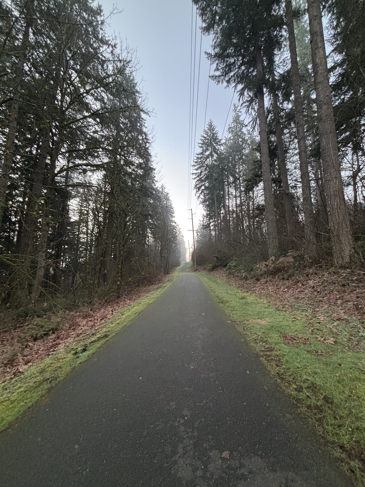 Trail Nearby